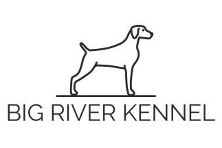 Big River Kennel<br />weimaraners